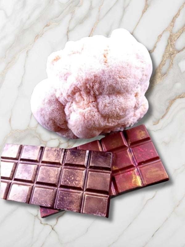 Lions mane chocolate bars with mushroom