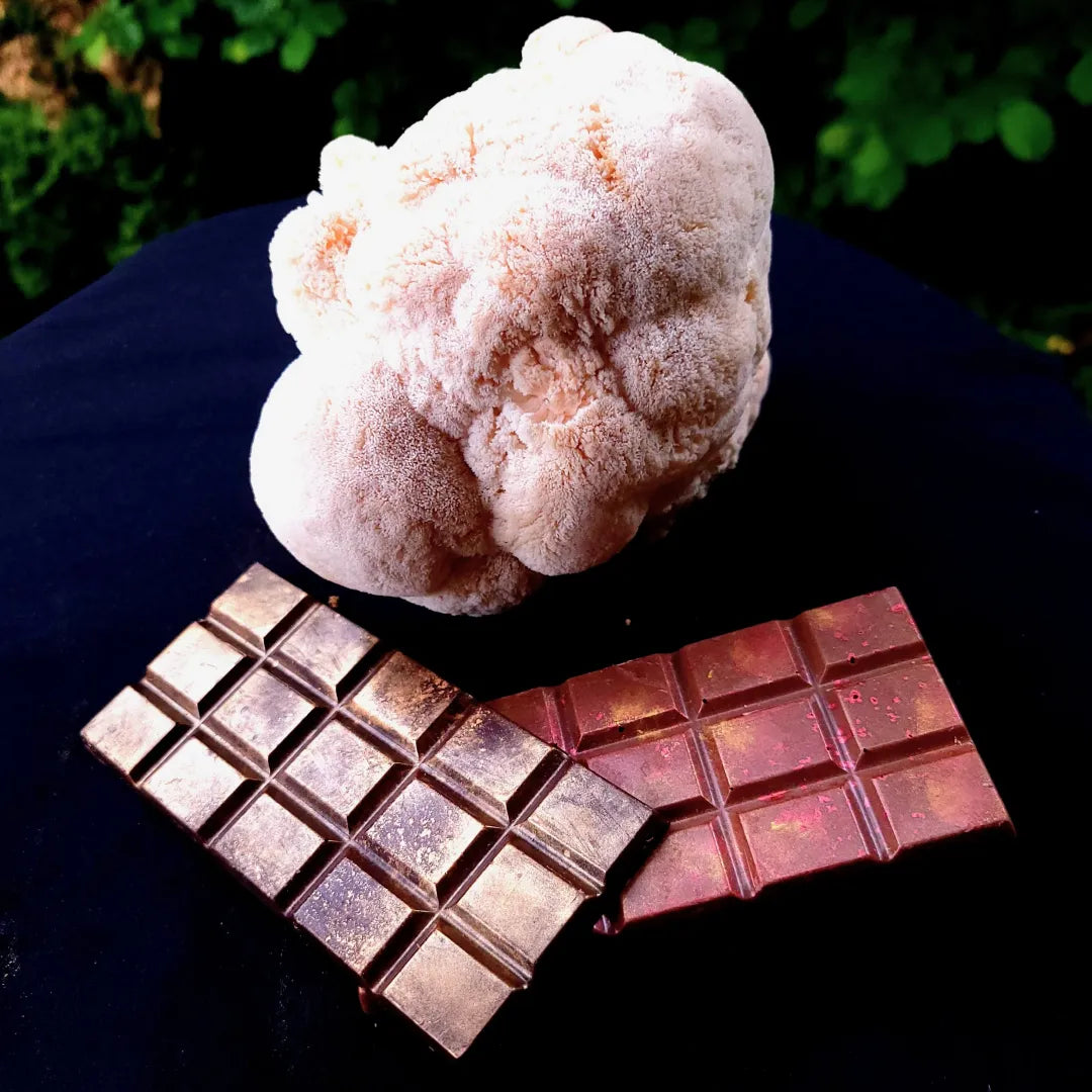 A lion's mane mushroom next to chocolate